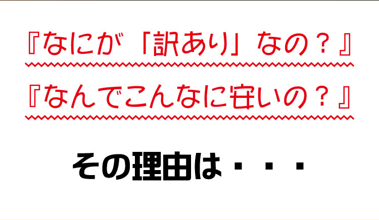 チーズケーキバー　1ｋｇ02